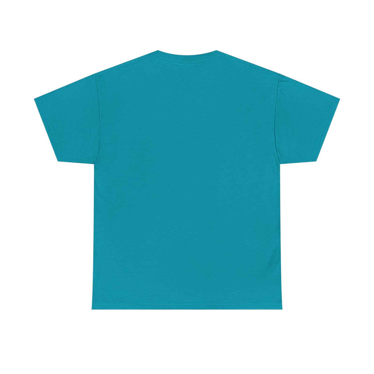 Basic Cotton T-Shirt - Hernando Beach Diving