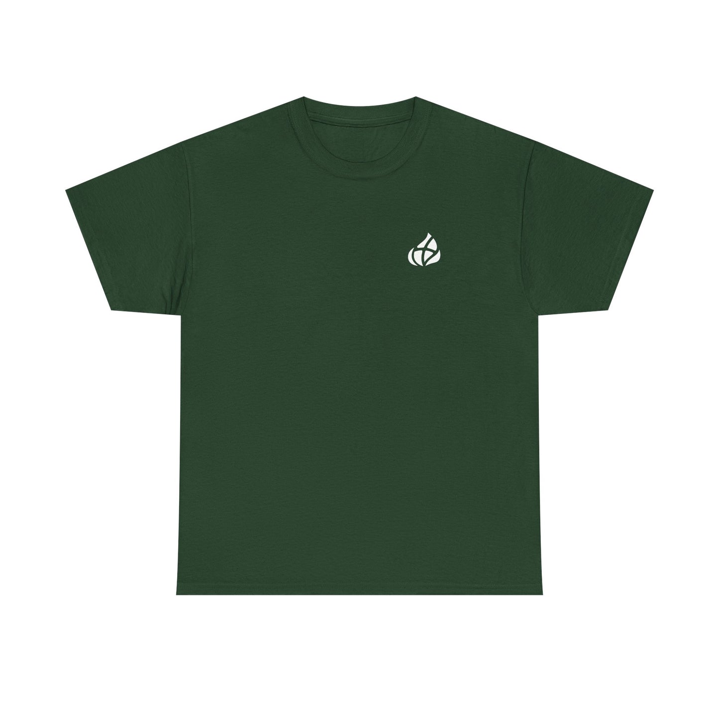 ADULT - Basic tee - GOD's Plan - BBA