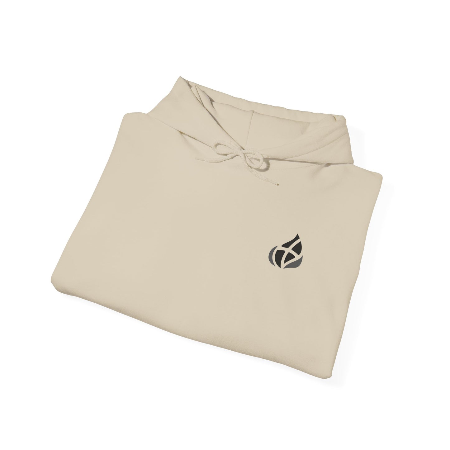 ADULT - Basic Hoodie - GOD's Plan - BBA