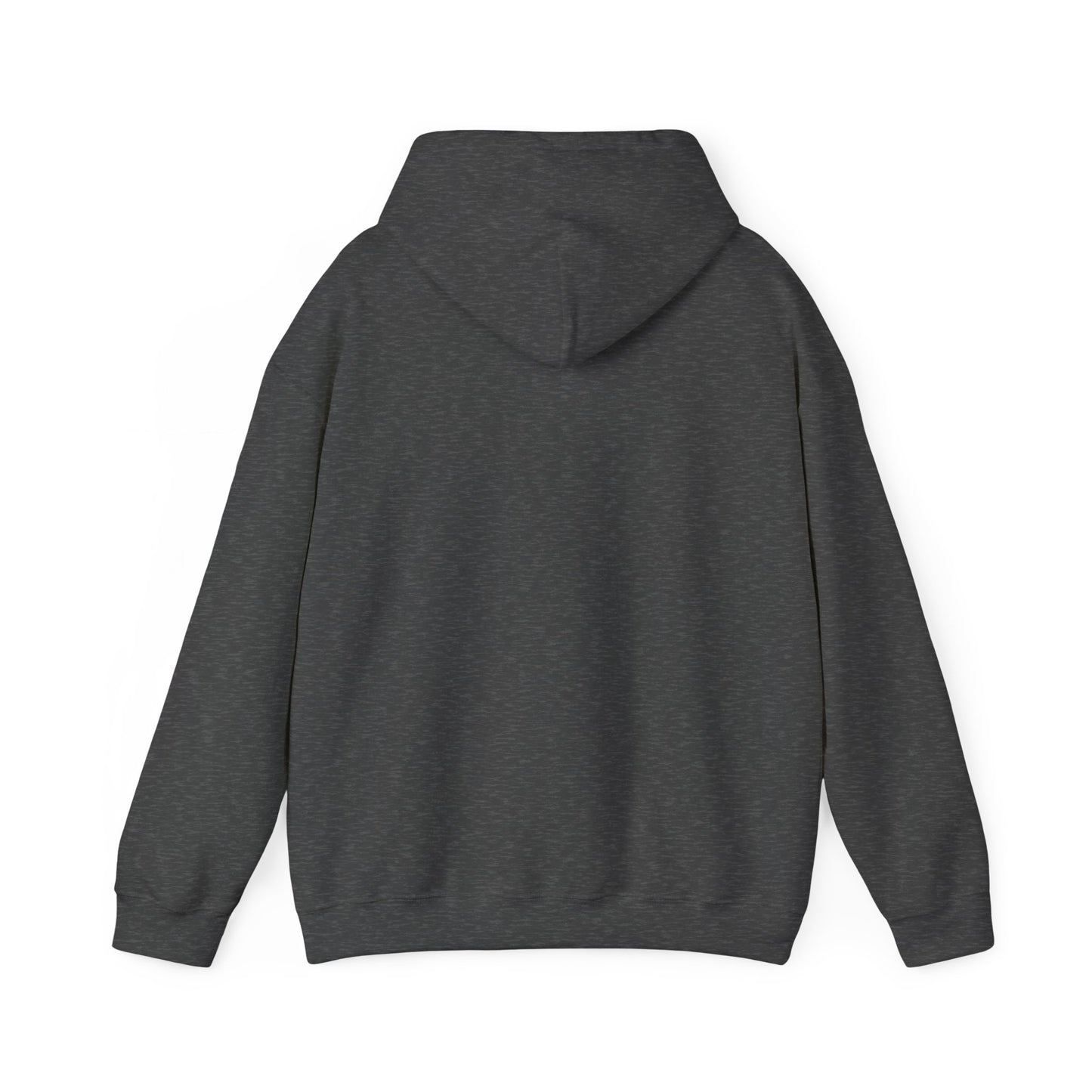 Adult Pullover Hoodie - Jesus Tent Revival