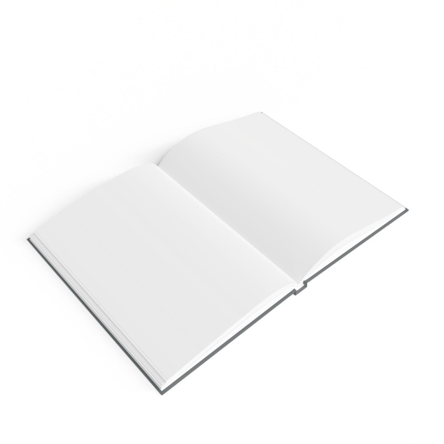 Journal - TRUTH CHAPEL