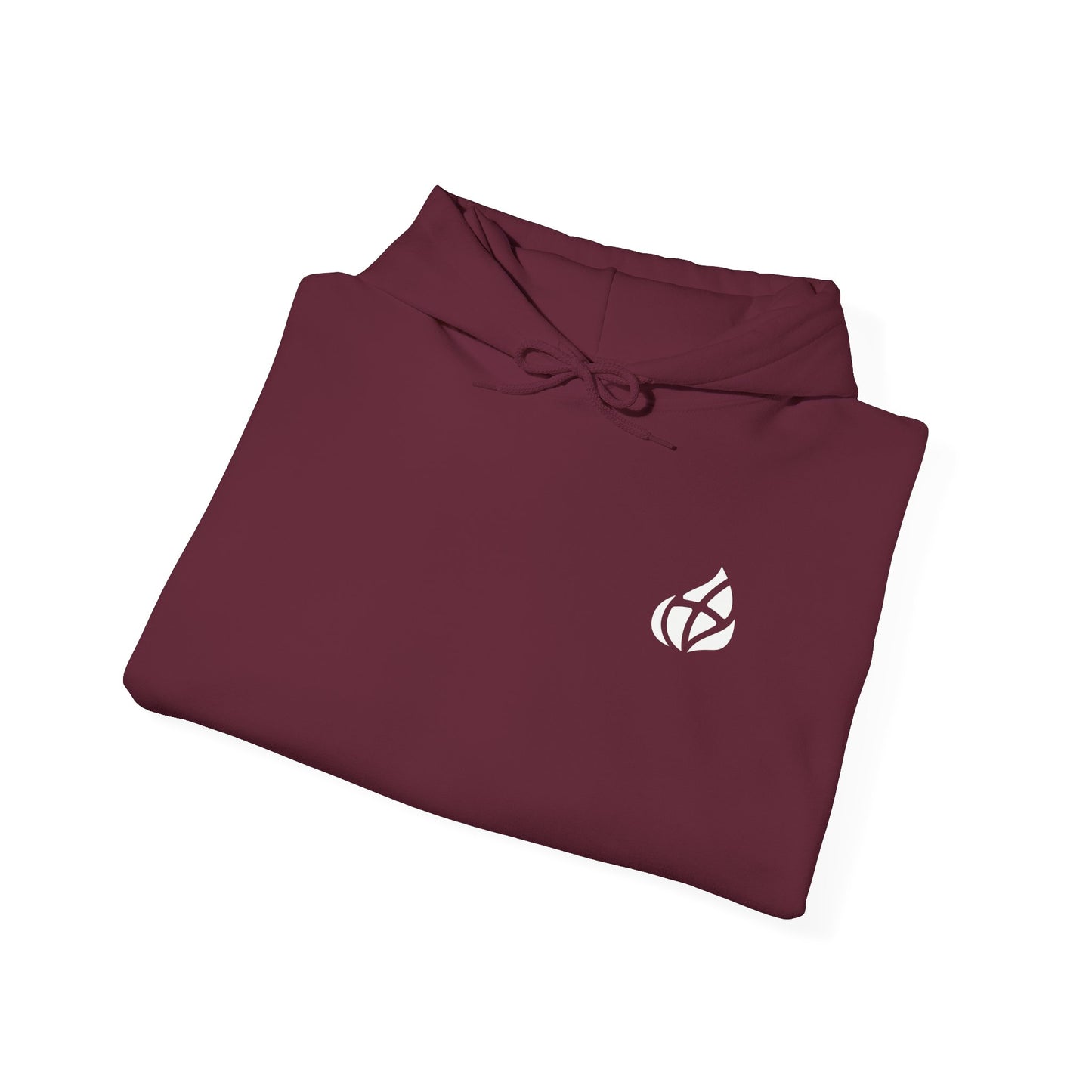 ADULT - Basic Hoodie - GOD's Plan - BBA