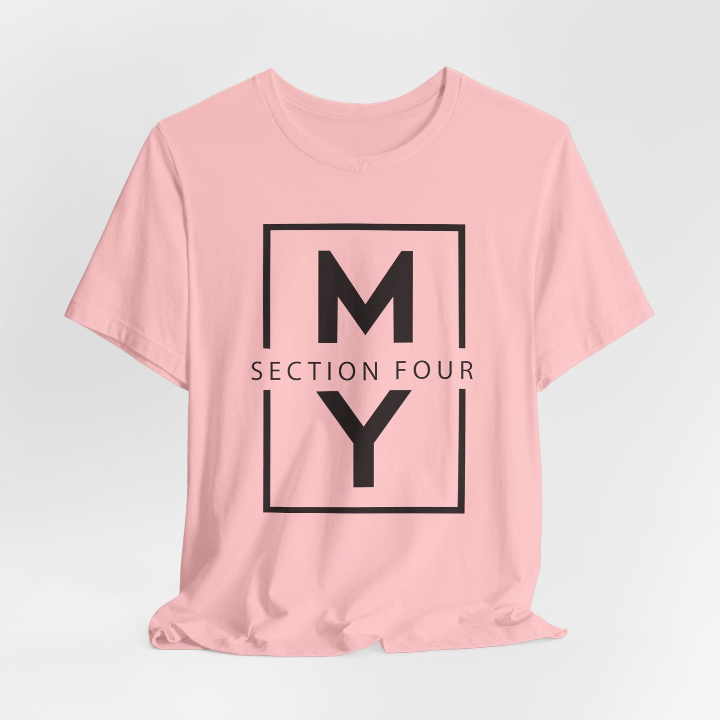 Adult - Premium T-Shirt - MS Section 4 Youth
