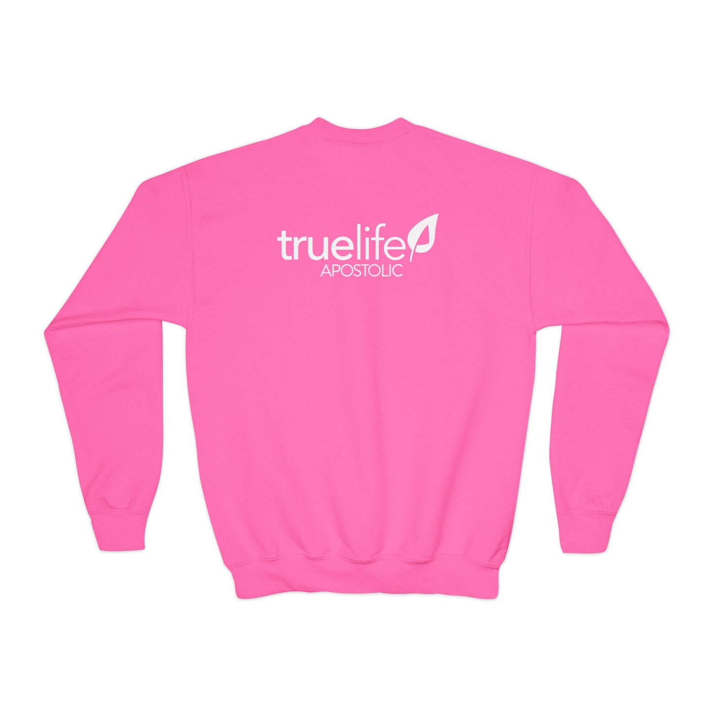 Youth- BasicCrewneck Sweatshirt - TrueLife Apostolic