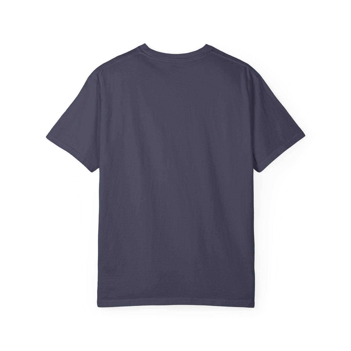 ADULT - Comfort Colors T-shirt - NANOTECH Employee