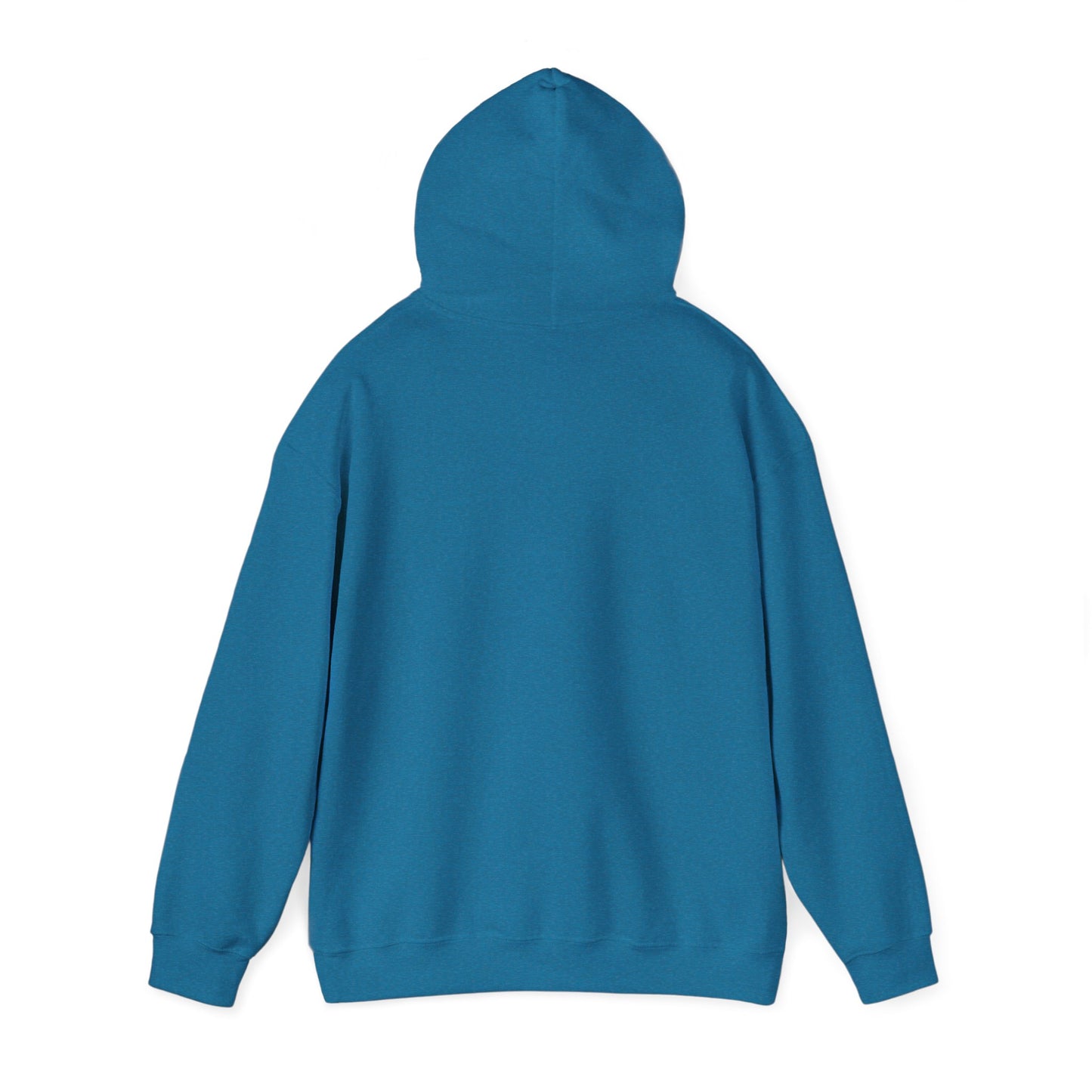 ADULT - Basic Hoodie - Bible Church