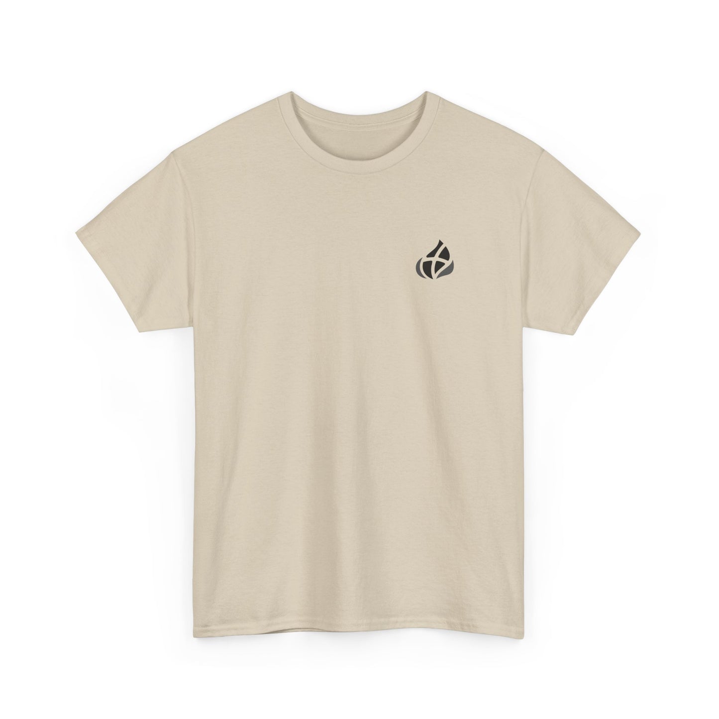 ADULT - Basic tee - GOD's Plan - BBA