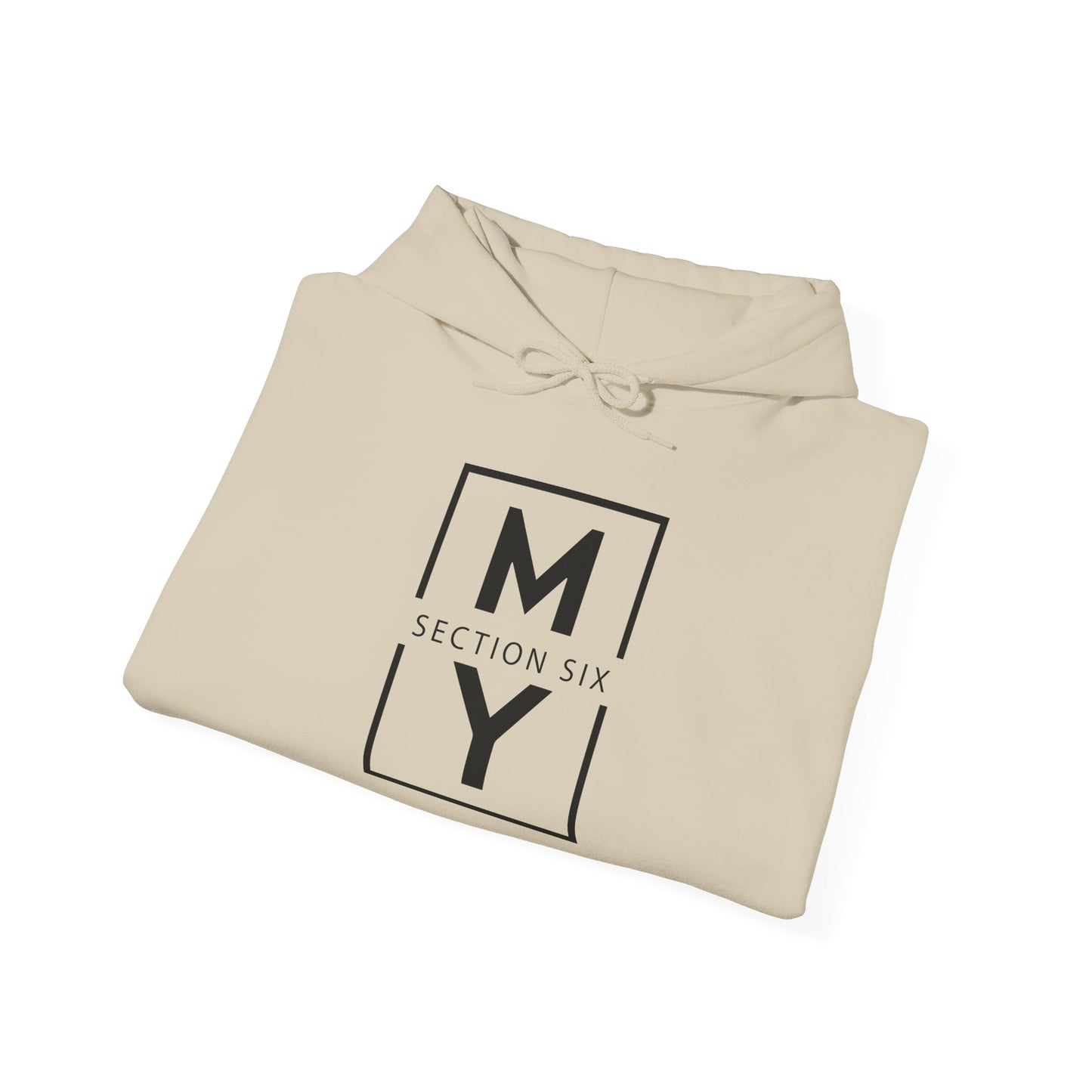 ADULT - Basic Hoodie - MS Section 6 Youth