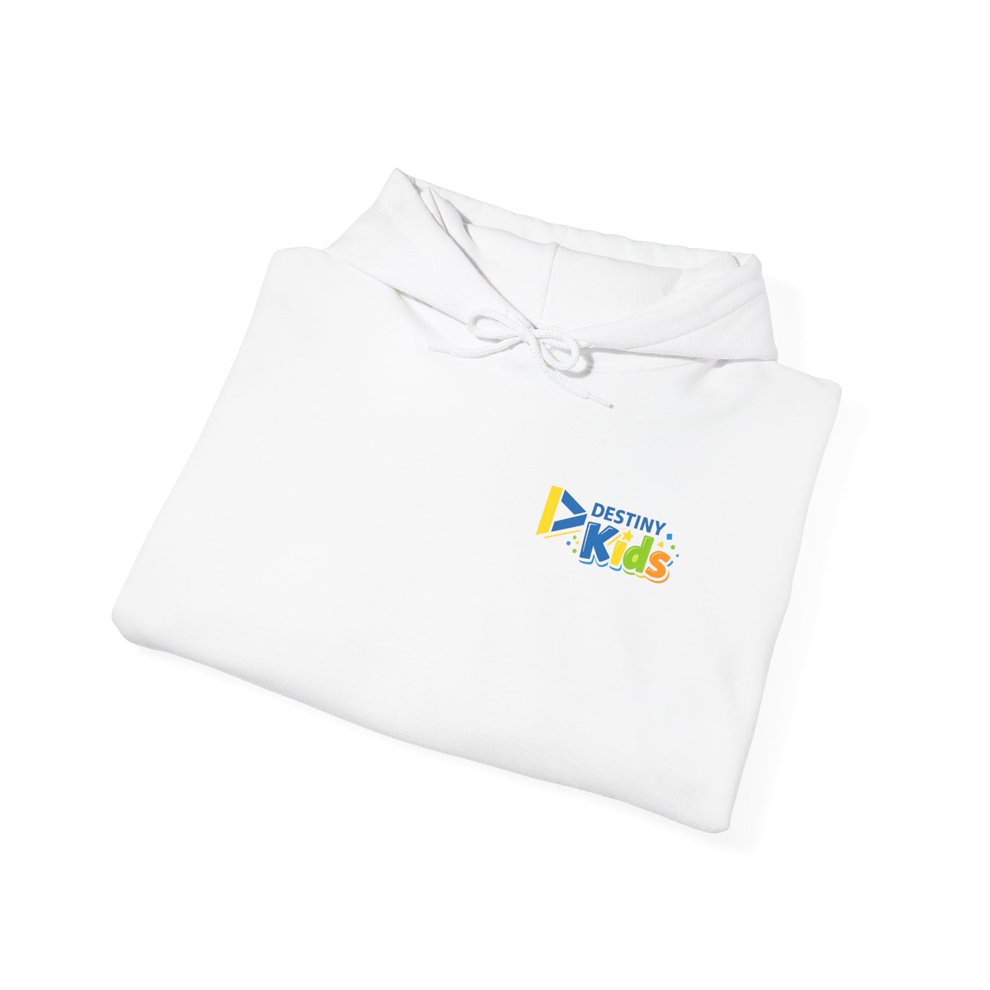 Adult - Basic Hoodie Kids Logo - Destiny Church