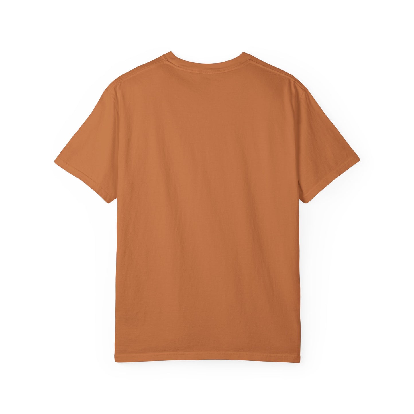 ADULT - Comfort Colors T-shirt - NANOTECH Employee