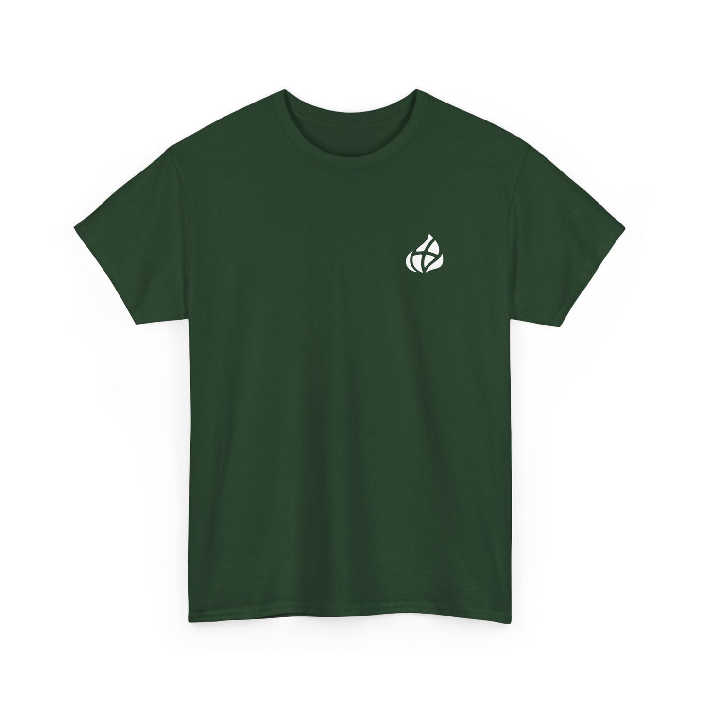 ADULT - Basic tee - GOD's Plan - BBA