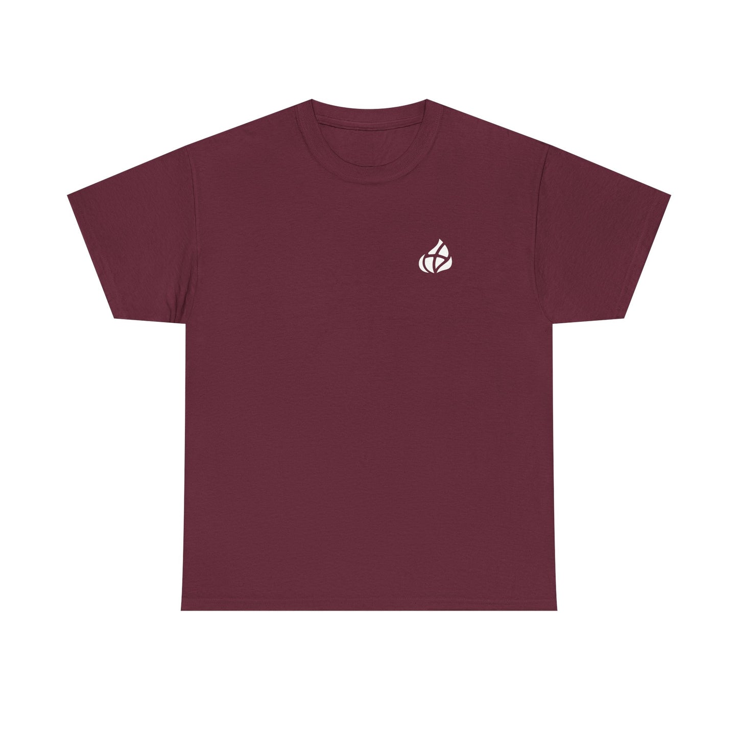 ADULT - Basic tee - GOD's Plan - BBA