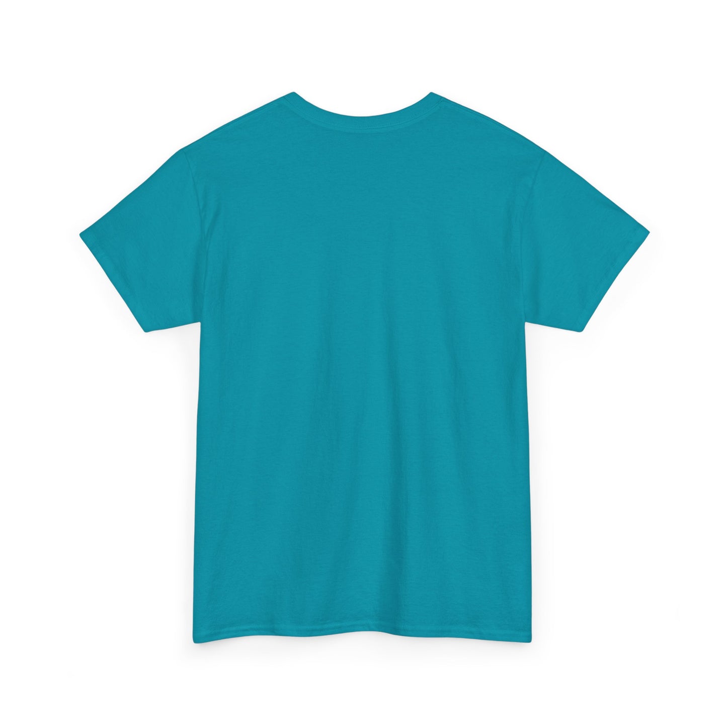 Basic Cotton T-Shirt - Hernando Beach Diving