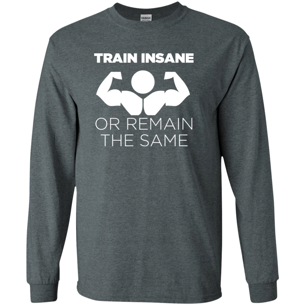 Train Insane Or Remain The Same