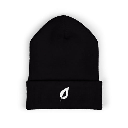Embroidered Beanie - TrueLife Apostolic