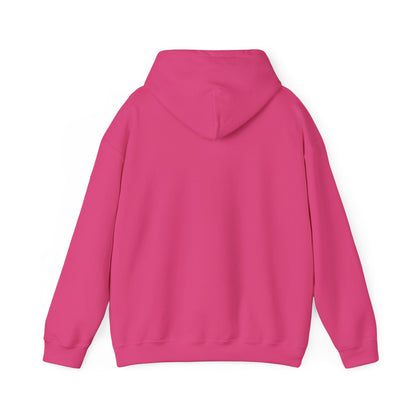 ADULT - Classic Pullover Hoodie - City on a Hill