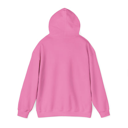 ADULT - Classic Pullover Hoodie - City on a Hill