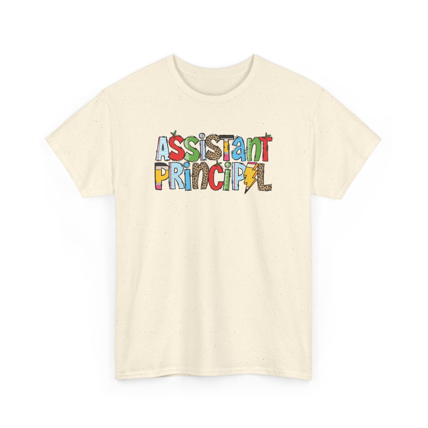 Assistant Principal Colorblock T-Shirt- Fun School Staff Gift