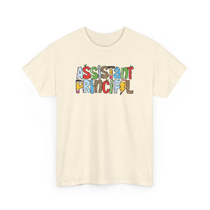 Assistant Principal Colorblock T-Shirt- Fun School Staff Gift