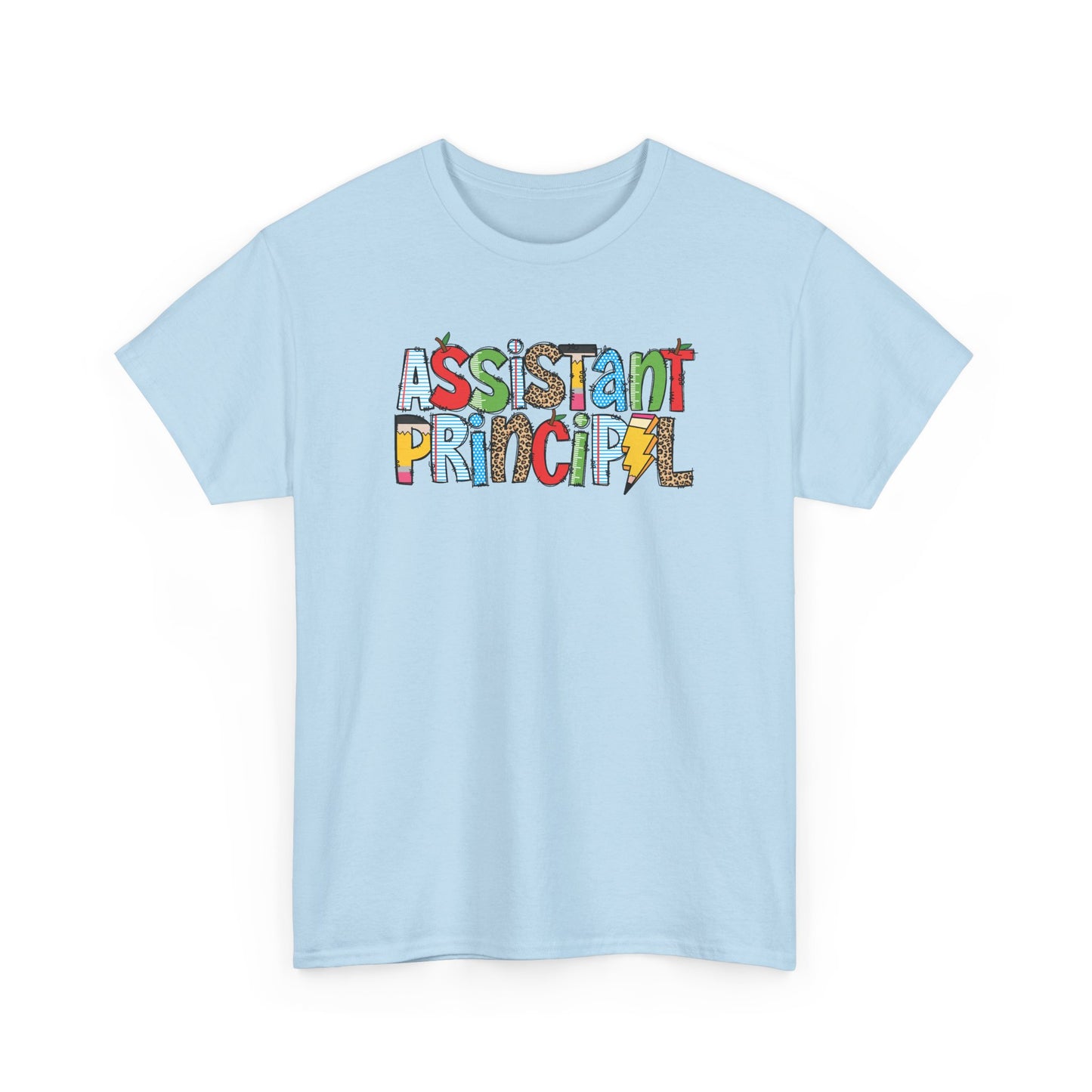 Assistant Principal Colorblock T-Shirt- Fun School Staff Gift