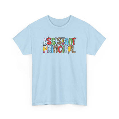 Assistant Principal Colorblock T-Shirt- Fun School Staff Gift