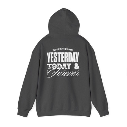ADULT - Basic Hoodie - Jesus is the Same - BBA