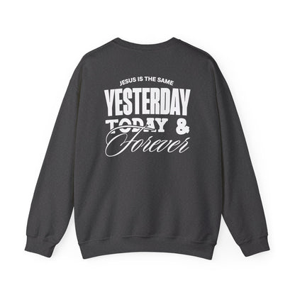 ADULT - Basic Sweatshirt - Jesus is the Same - BBA