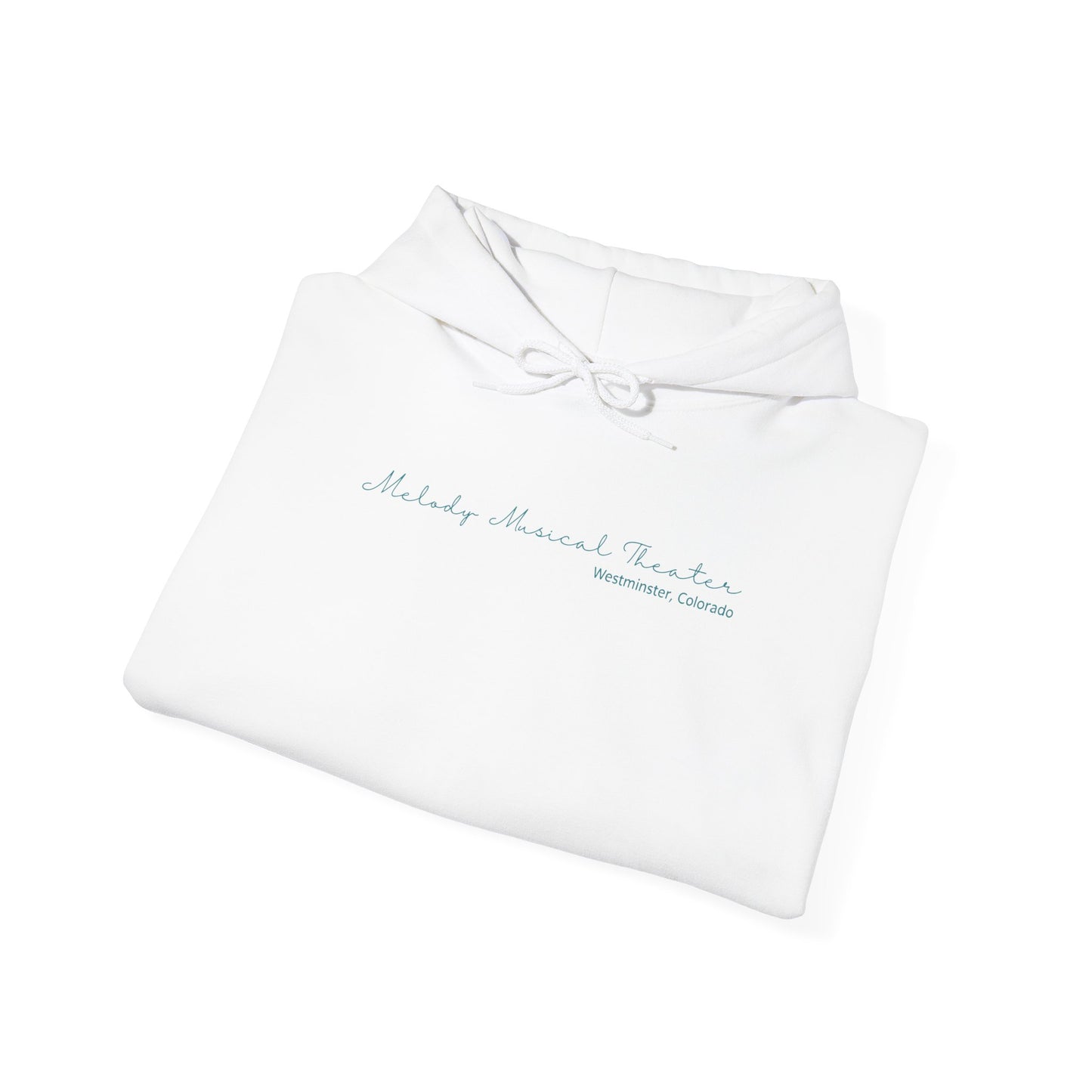 MMT Classic Pullover Hoodie - Script Logo