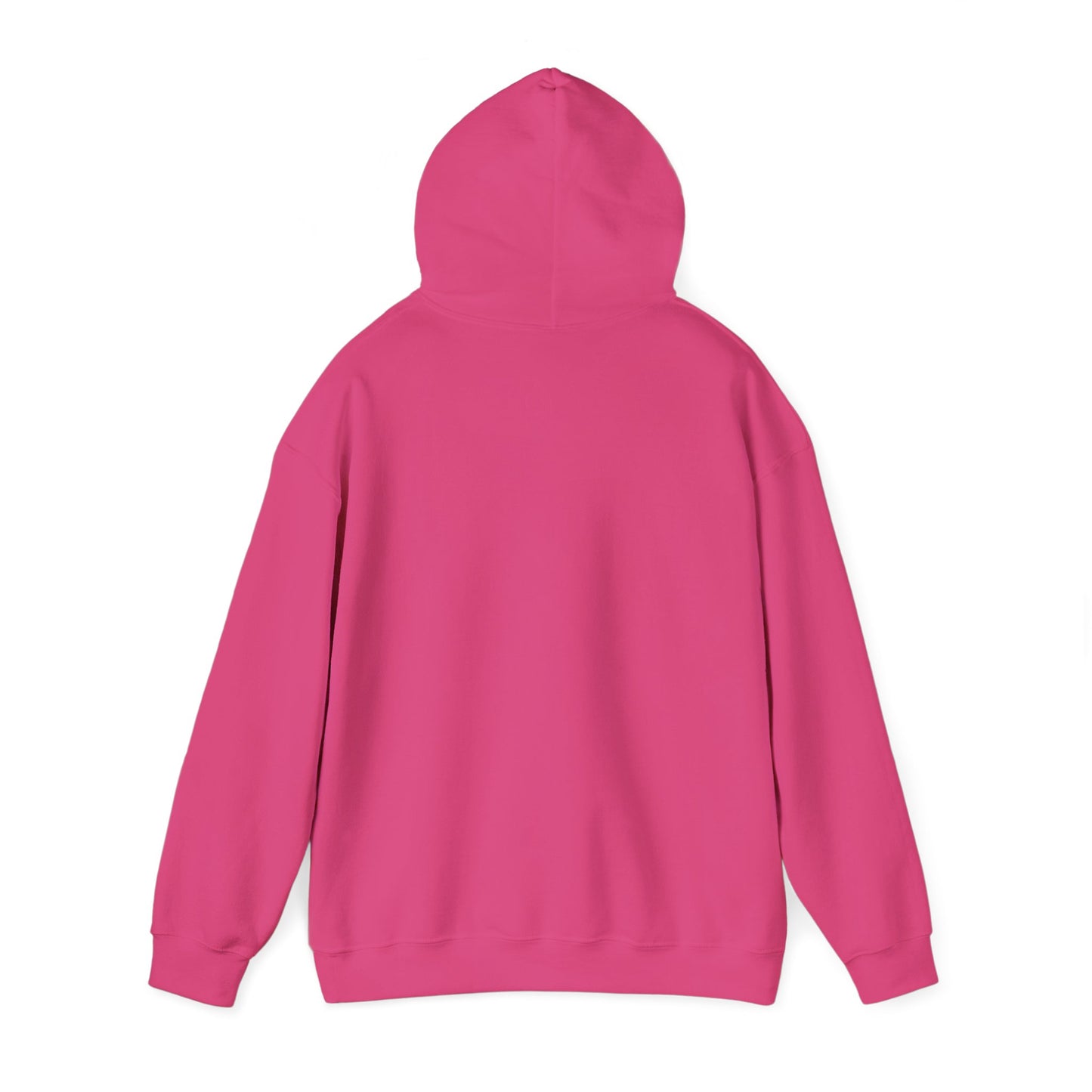 ADULT - Classic Pullover Hoodie - City on a Hill
