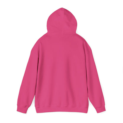 ADULT - Classic Pullover Hoodie - City on a Hill