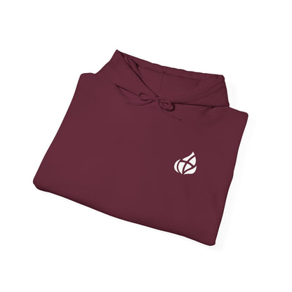 ADULT - Basic Hoodie - GOD's Plan - BBA