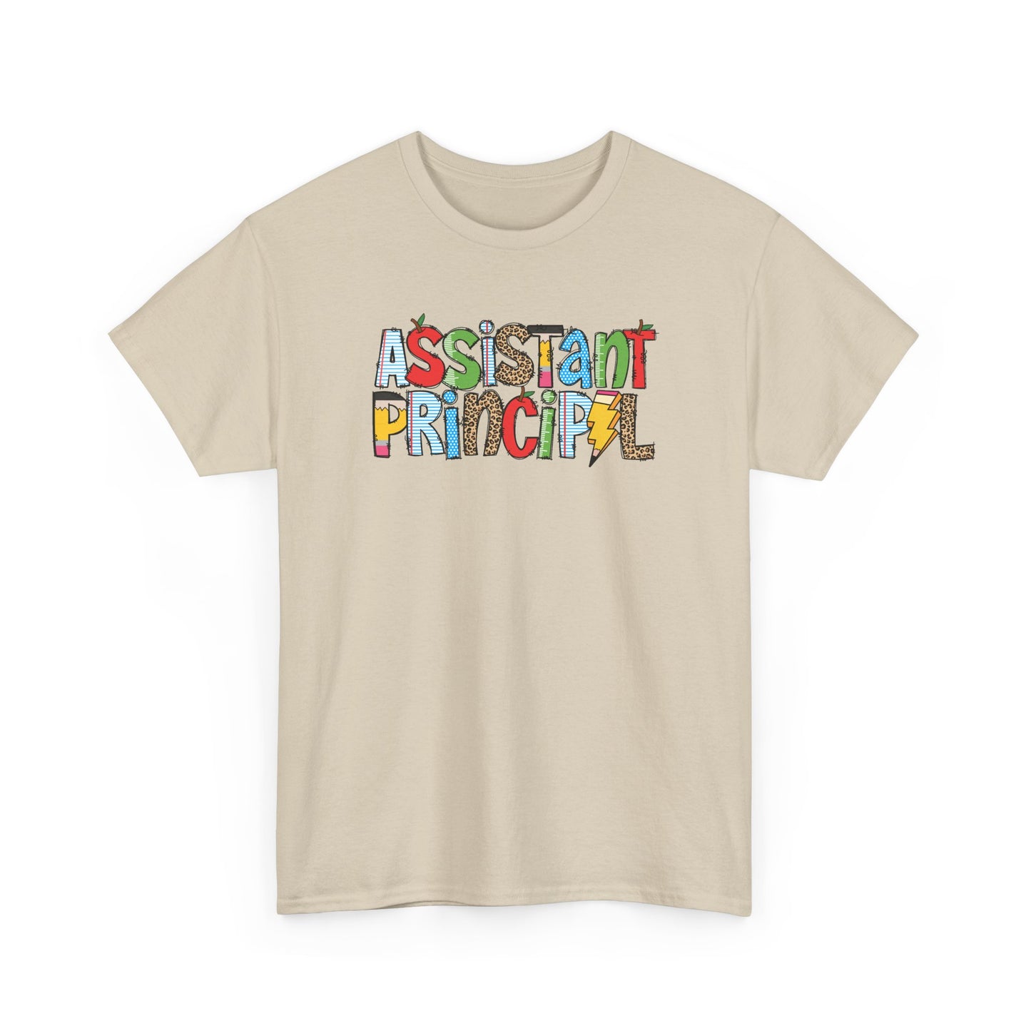 Assistant Principal Colorblock T-Shirt- Fun School Staff Gift