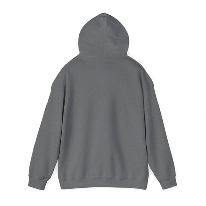 ADULT - Classic Pullover Hoodie - City on a Hill Pentecostals