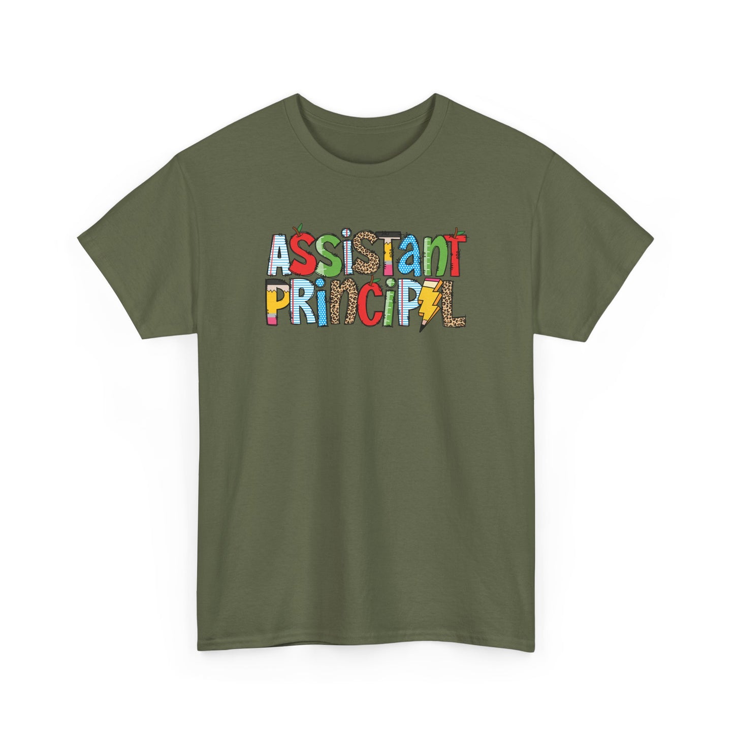 Assistant Principal Colorblock T-Shirt- Fun School Staff Gift