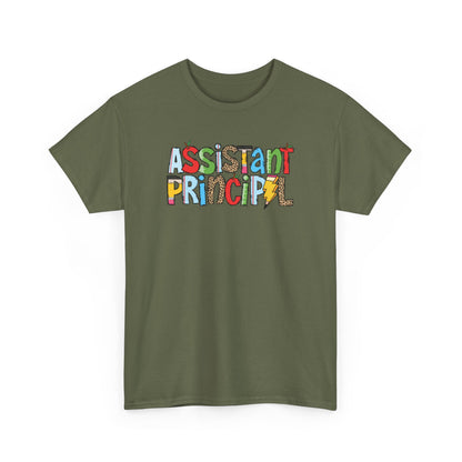 Assistant Principal Colorblock T-Shirt- Fun School Staff Gift