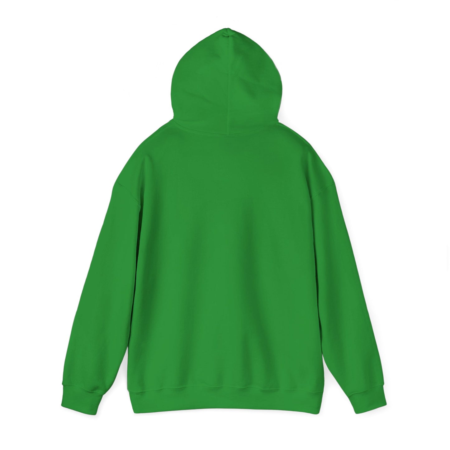 ADULT - Classic Pullover Hoodie - City on a Hill