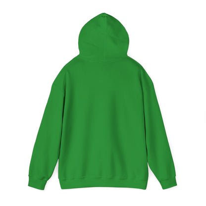ADULT - Classic Pullover Hoodie - City on a Hill