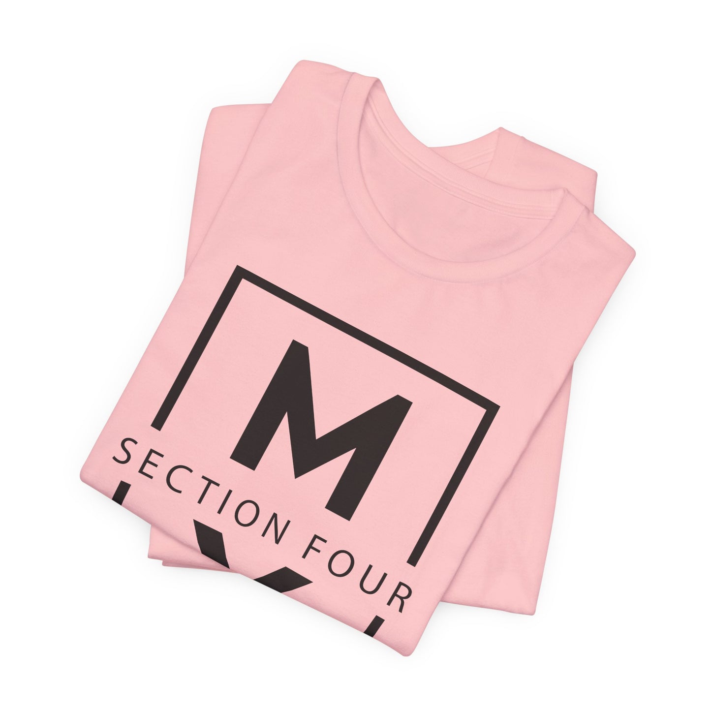 Adult - Premium T-Shirt - MS Section 4 Youth