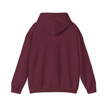 Go Make Disciples Hoodie - Brown Family Missions