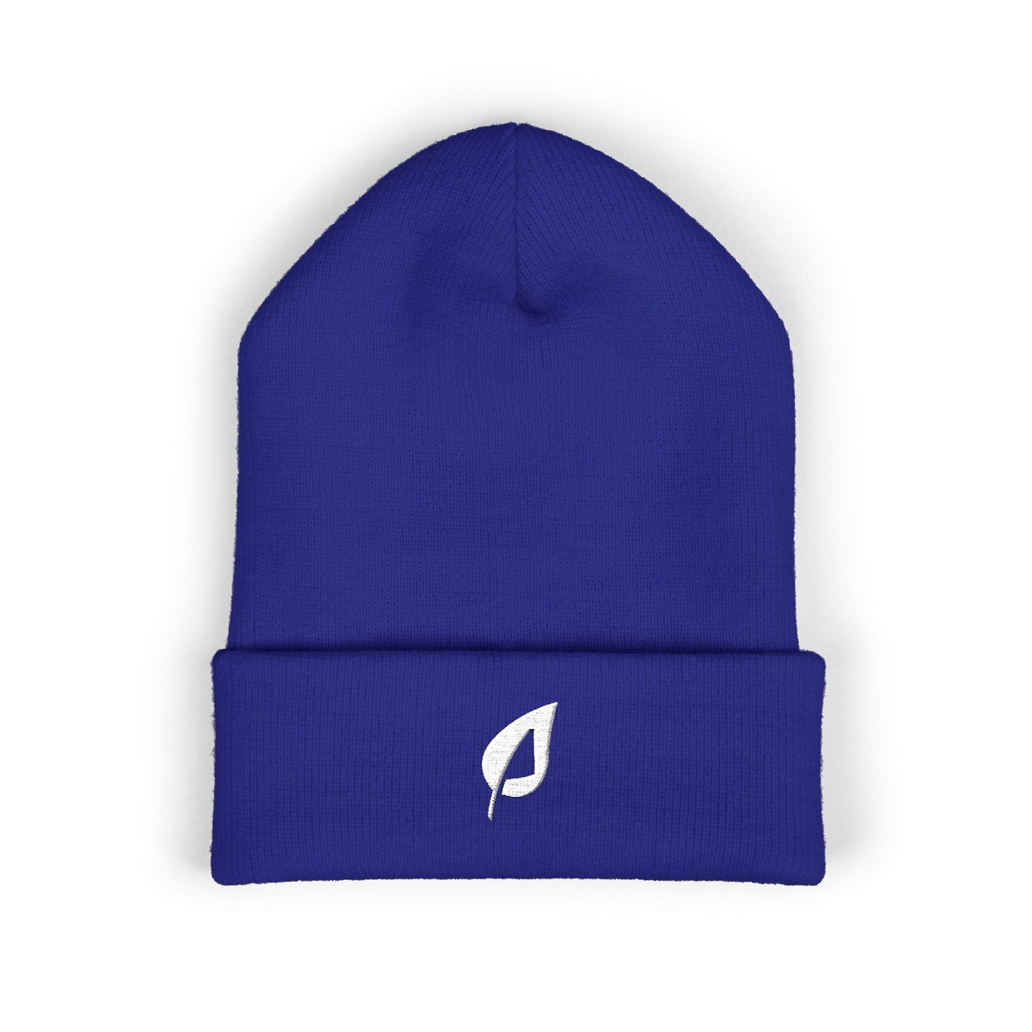 Embroidered Beanie - TrueLife Apostolic