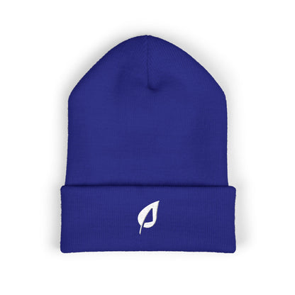 Embroidered Beanie - TrueLife Apostolic