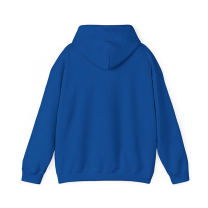 Go Make Disciples Hoodie - Brown Family Missions