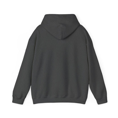 Go Make Disciples Hoodie - Brown Family Missions