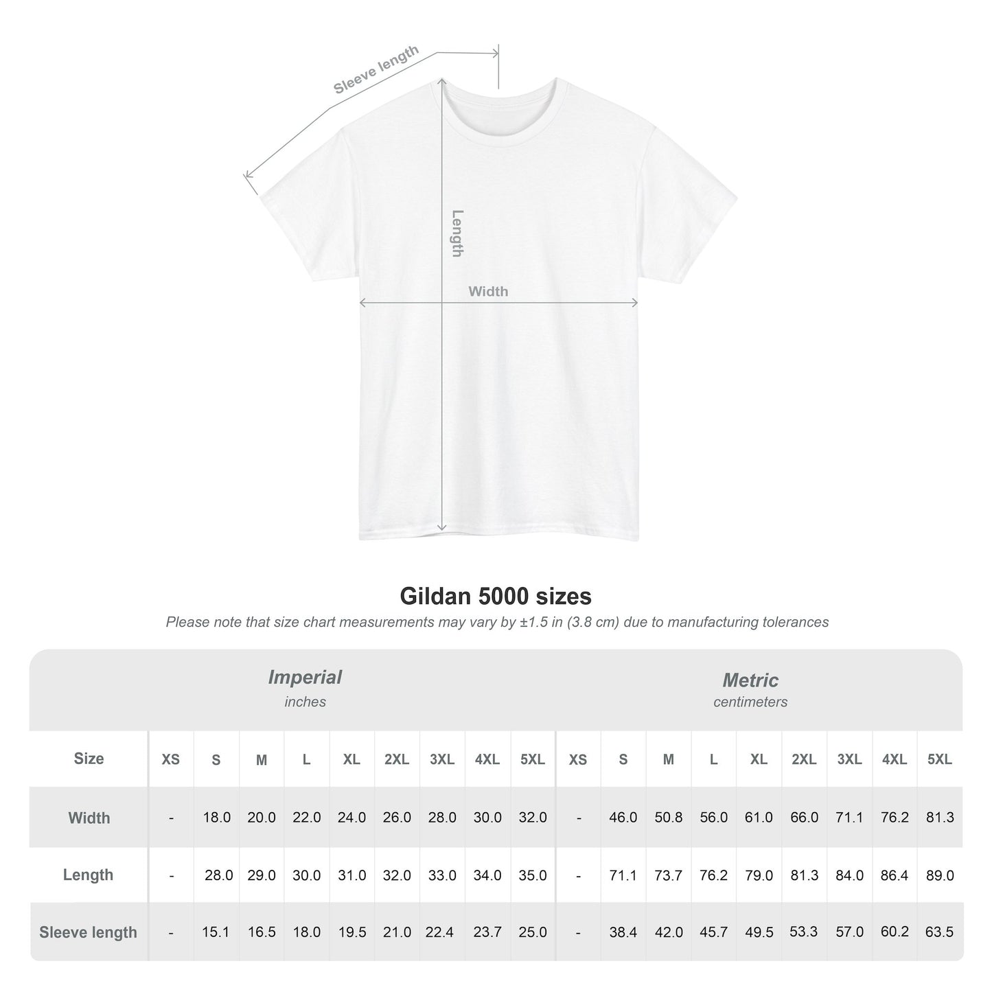 Basic Cotton T-Shirt - Hernando Beach Diving