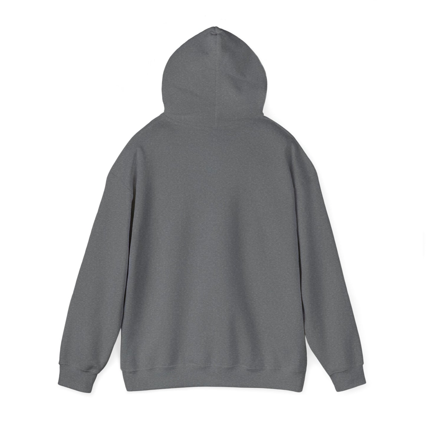 ADULT - Classic Pullover Hoodie - City on a Hill