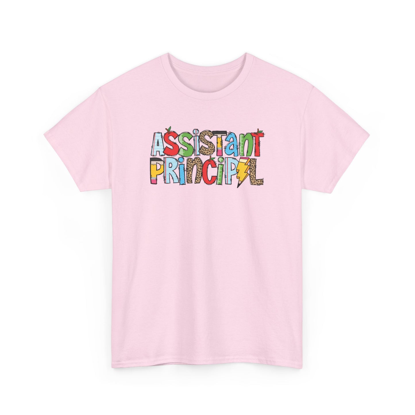 Assistant Principal Colorblock T-Shirt- Fun School Staff Gift