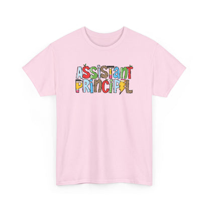 Assistant Principal Colorblock T-Shirt- Fun School Staff Gift