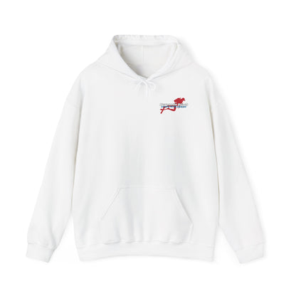 Classic Pullover Hoodie - Hernando Beach Diving - Front & Back Print
