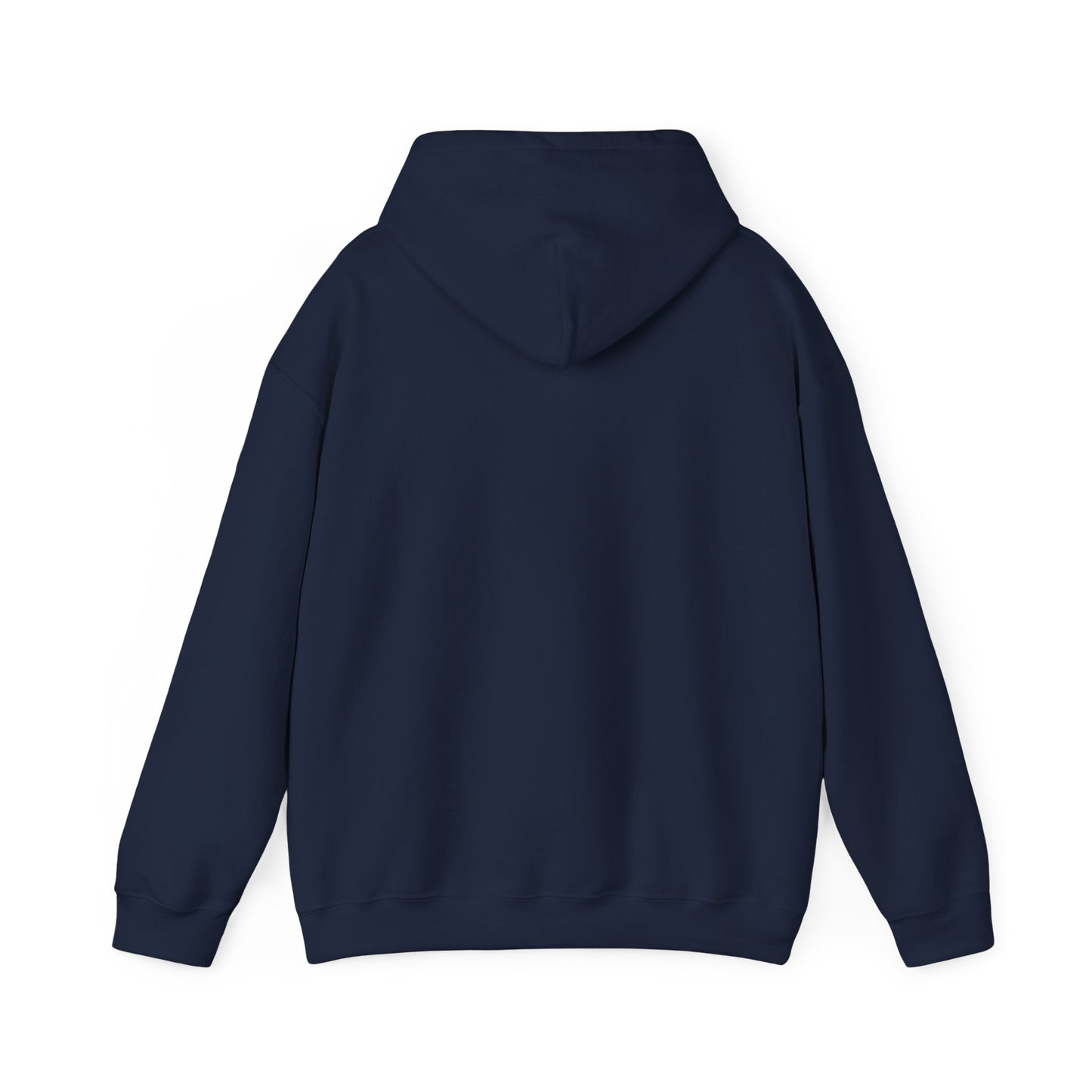 Go Make Disciples Hoodie - Brown Family Missions