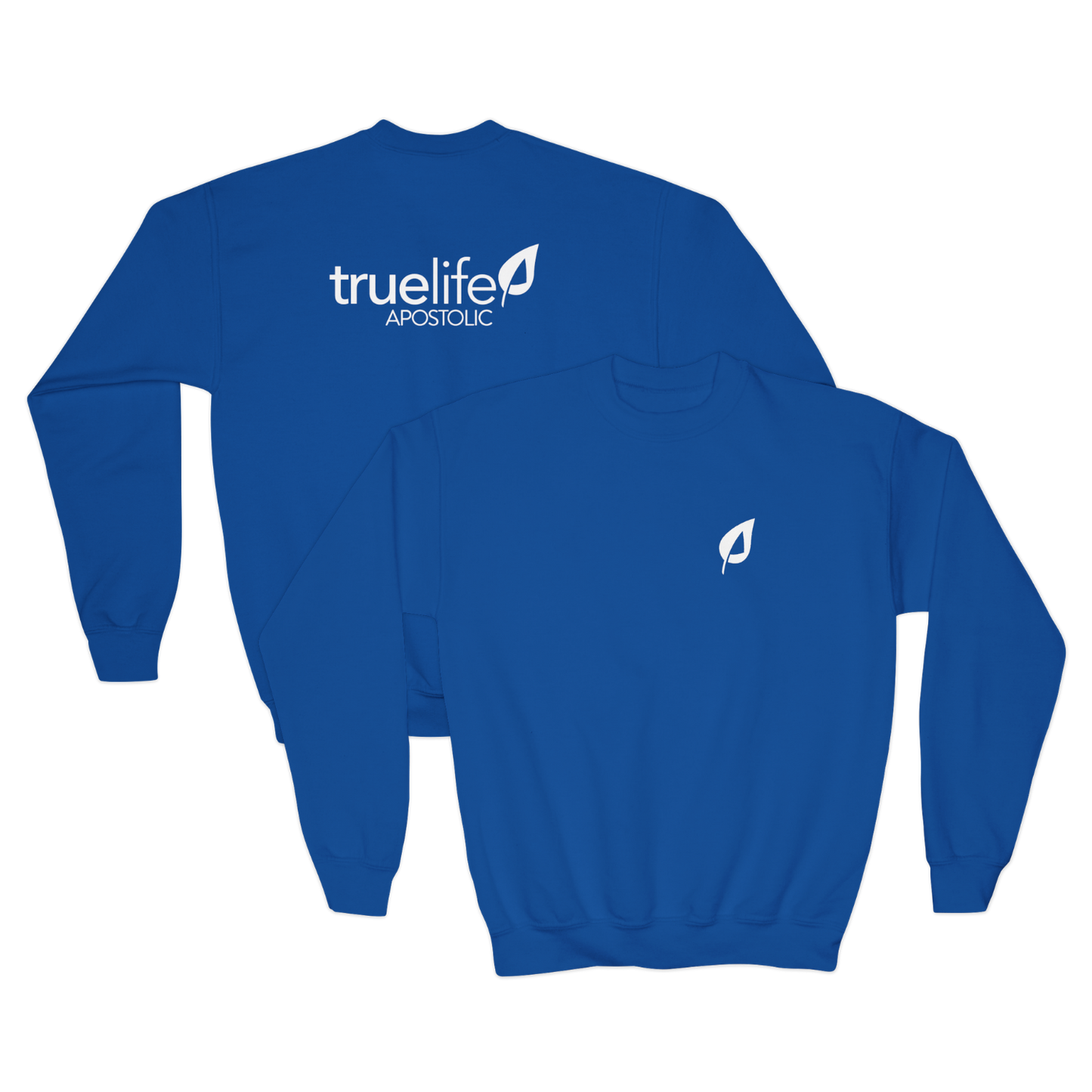 Youth- BasicCrewneck Sweatshirt - TrueLife Apostolic